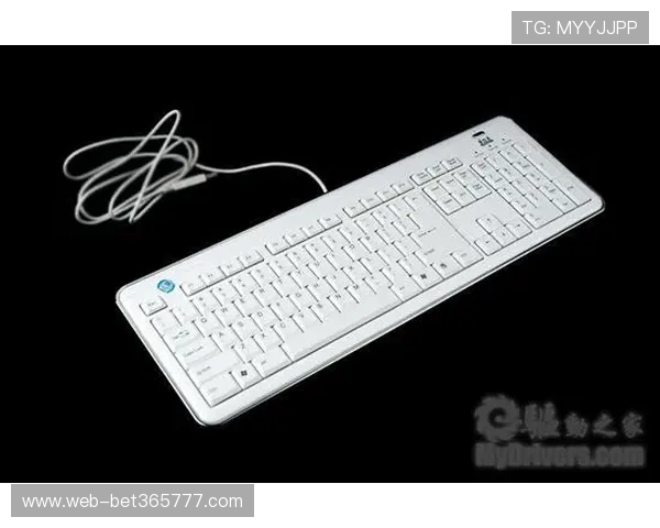 365真正官网的产品介绍与功能特色，助您全面了解平台优势