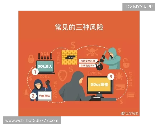 如何识别和避开365的备用网址中的潜在风险确保账号安全