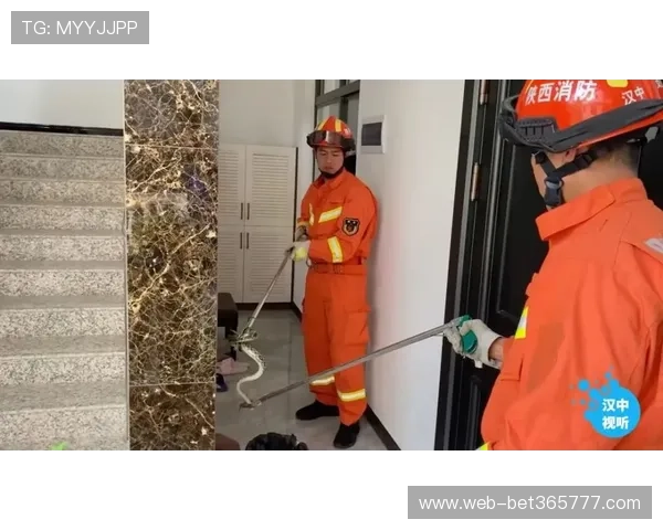 避免登录陷阱：bet注册会员登录安全措施及注意事项